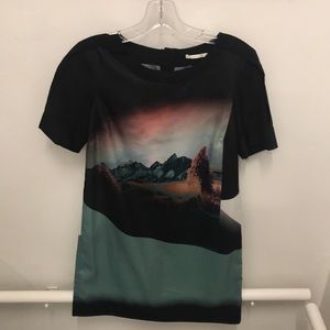 Twelfth Street Cynthia Vincent shift dress